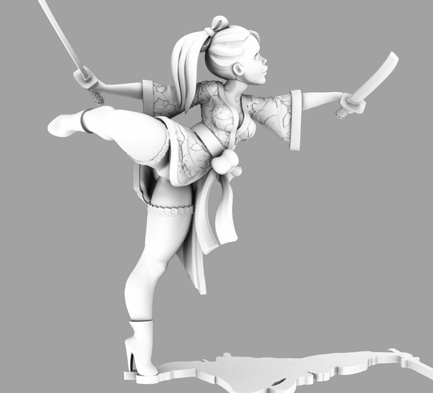 Ballerina Ninja
